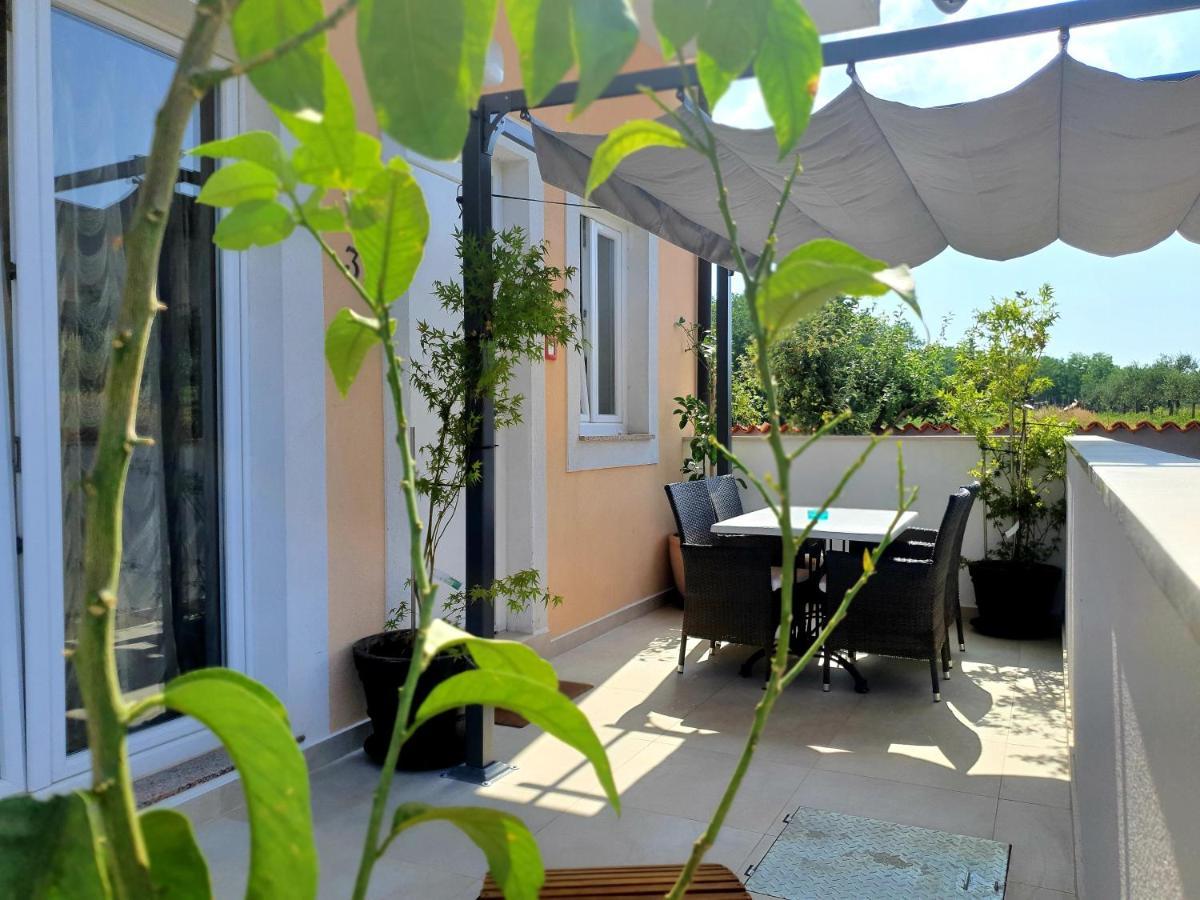 Villa Ancora Савудрия Экстерьер фото